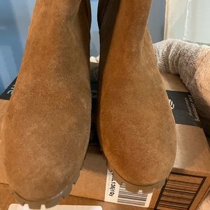 Steve Madden ankle boots